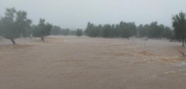 Καιρός : Οι βροχές «έπνιξαν» τον κάμπο της Μεσσηνίας