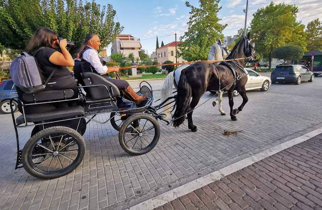 Άργος : Πανέμορφα άλογα, πλουμιστές άμαξες και καροτσέρηδες κατέκλυσαν το κέντρο