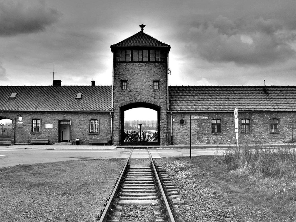 «Μην ξεχάσεις το όνομά σου. Τα παιδιά του Άουσβιτς» : Η ιστορία των εγκλημάτων των Ναζί