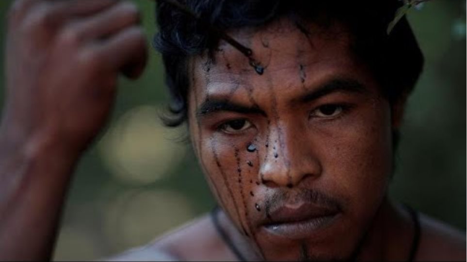 Αμαζόνιος: Δολοφονήθηκε από υλοτόμους ένας από τους «Φύλακες του Δάσους»