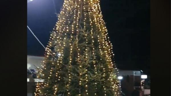 Χαλκιδική : Φωταγωγήθηκε το πρώτο χριστουγεννιάτικο δέντρο για το 2019