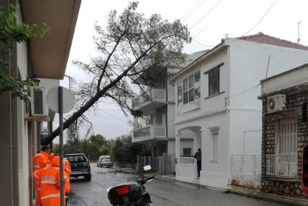 Κακοκαιρία : Πτώσεις δέντρων και ζημιές από τις καταιγίδες σε Ηλεία, Αχαΐα και Μεσολόγγι
