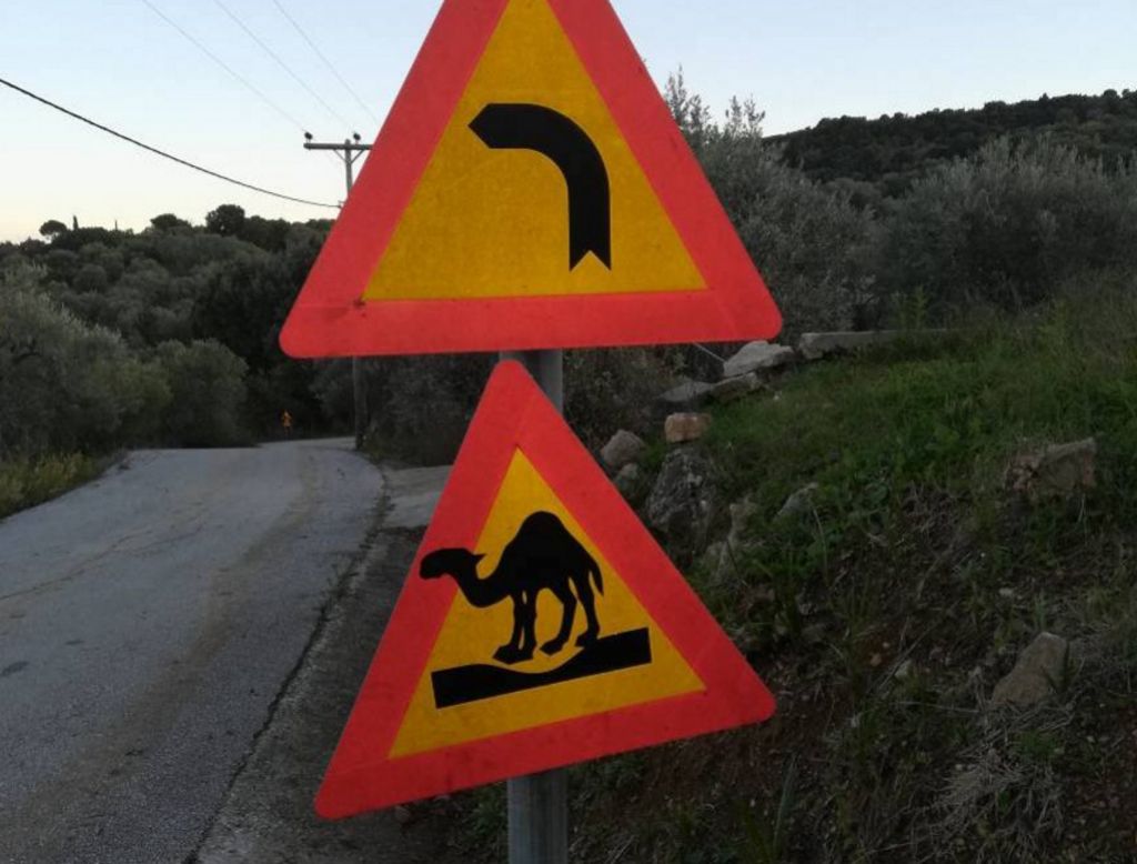 Πήλιο : Πινακίδες με… καγκουρό και καμήλες στους δρόμους – Τι συνέβη