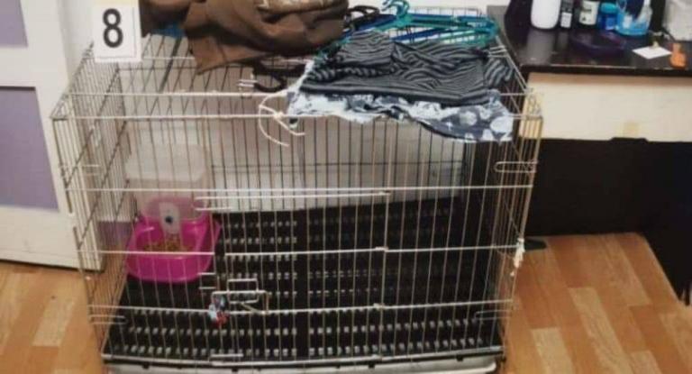 Σιγκαπούρη : Γονείς-τέρατα βασάνισαν μέχρι θανάτου τον 5χρονο γιο τους