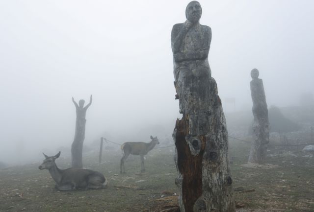 Μοναδικά καρέ: Η Πάρνηθα «πνιγμένη» στην ομίχλη – Το Πάρκο των Ψυχών και τα ελάφια