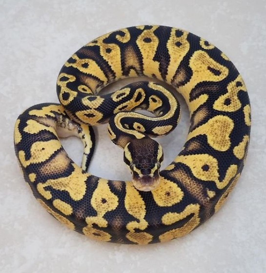 Τοξικοί φίλοι: Οι ενδείξεις ότι οι «φίλοι» σου δεν είναι σωστοί