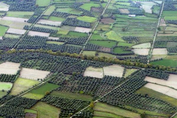 Σταϊκούρας : Πιθανή η νέα μείωση του ΕΝΦΙΑ το 2020