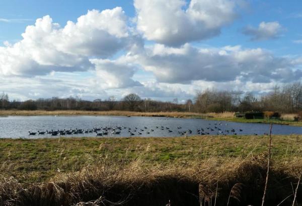 Έως και δύο μέτρα θα ανέβει η στάθμη της θάλασσας στη Μεσόγειο, μέχρι το τέλος του αιώνα