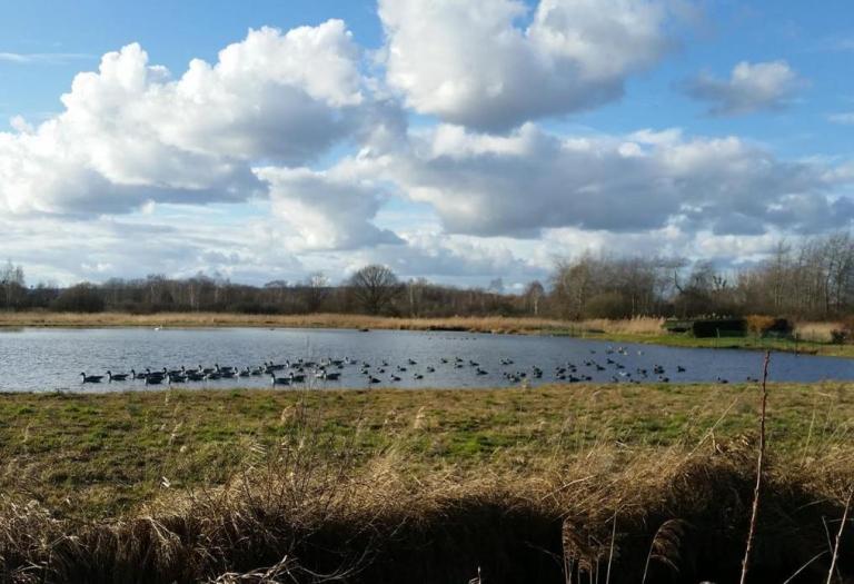 Έως και δύο μέτρα θα ανέβει η στάθμη της θάλασσας στη Μεσόγειο, μέχρι το τέλος του αιώνα
