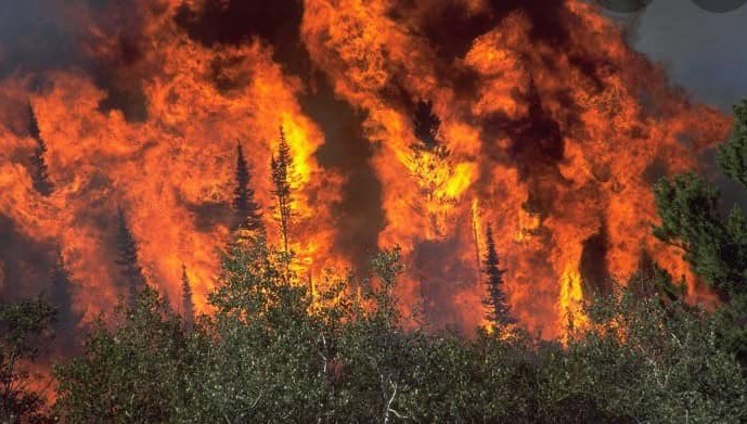 Αυστραλία : Τρεις νεκροί και αγνοούμενοι από τις ανεξέλεγκτες πυρκαγιές