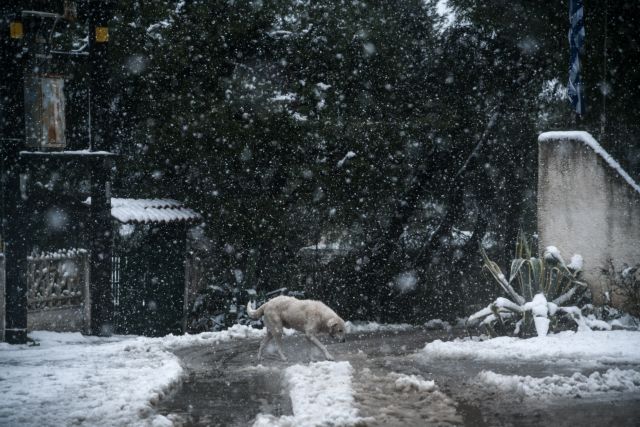 Καιρός - Ζηνοβία : Χιόνισε για πρώτη φορά στη Σύμη