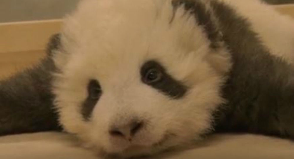 Ξεκαρδιστικό βίντεο: Μωράκι πάντα δεν μπορεί να κοιμηθεί λόγω λόξυγκα