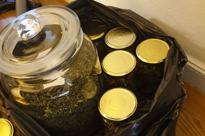 ΣΔΟΕ : Εντοπισμός εγκατάστασης υδροπονικής καλλιέργειας εμπλουτισμένης κάνναβης