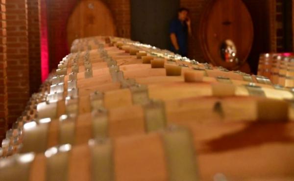 Η «άνοιξη» του ελληνικού κρασιού – Κατακόρυφη αύξηση εξαγωγών