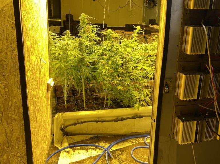 Αιγάλεω : Είχαν στήσει εργαστήριο-φυτώριο κάνναβης… μέσα σε ντουλάπα – Απίστευτες εικόνες