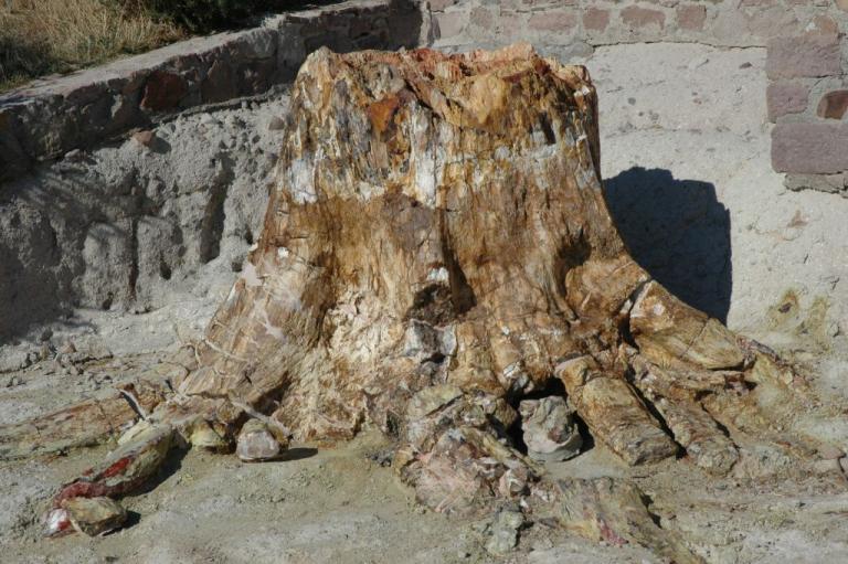 Σίγρι Λέσβου : Η γεωλογική ιστορία της λεκάνης του Αιγαίου