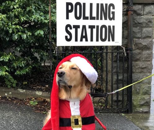 Βρετανικές εκλογές : Ψηφοφόροι και... σκυλιά στις κάλπες