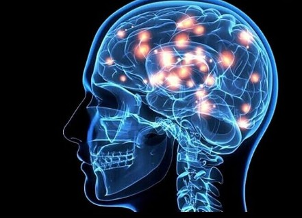 Ζώδια και εξυπνάδα: Τα πιο έξυπνα του ζωδιακού κύκλου