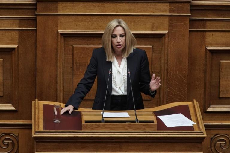 Γεννηματά: Όποιος απλώσει δάχτυλο στα εθνικά-κυριαρχικά μας δικαιώματα θα χάσει το χέρι