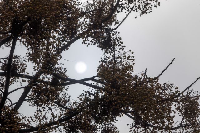 Καιρός : Διάλειμμα από τις βροχές με ηλιοφάνεια και 20άρια