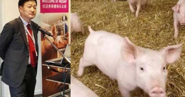 Ποιος Τζεφ Μπέζος; Ένας Κινέζος… χοιροτρόφος τον ξεπέρασε σε αύξηση περιουσίας το 2019