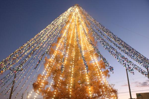 Εντυπωσιακό ρεκόρ Γκίνες για χριστουγεννιάτικο δέντρο