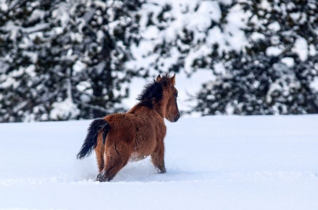 Καιρός : Σε ποιες περιοχές η θερμοκρασία βρέθηκε στο μείον