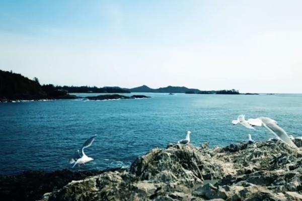 Το απόλυτο viral: Διακοπές σε ένα… ανύπαρκτο νησί