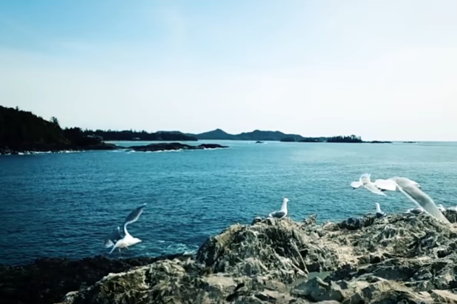 Το απόλυτο viral: Διακοπές σε ένα… ανύπαρκτο νησί