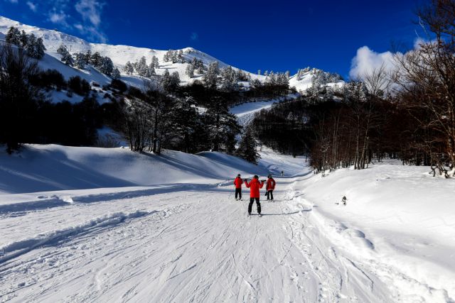 Χιονοδρομικά κέντρα : Χάθηκε 20-25% του τζίρου φέτος - Ελπίζουν σε χιονόπτωση οι ιδιοκτήτες