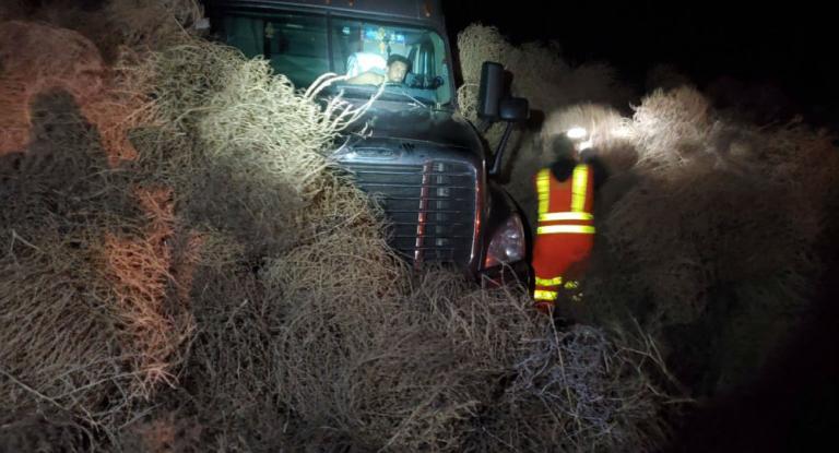 Οδηγοί «θάφτηκαν» κάτω από τεράστιους θάμνους