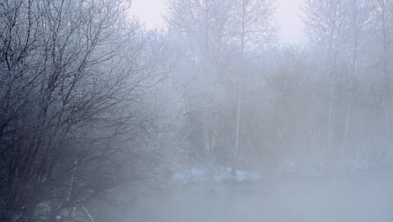 «Σινιάκι»: Η παγωμένη ομίχλη που «εξαφανίζει» τη Φλώρινα
