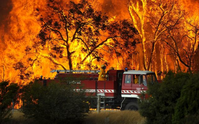 Αυστραλία : Εφιαλτικές εκτιμήσεις για 1 δισ. καμένα ζώα από τις πυρκαγιές