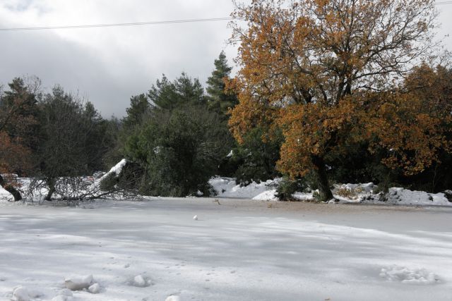 Σέρρες: Πάγωσε ο τεχνητός καταρράκτης – Αναρρίχηση στον πάγο