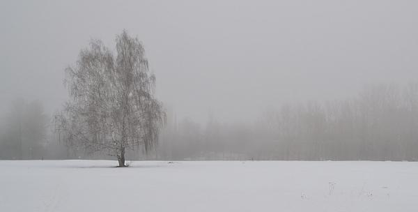 Τα ζώδια που θα υποφέρουν τον Ιανουάριο