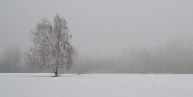 Τα ζώδια που θα υποφέρουν τον Ιανουάριο