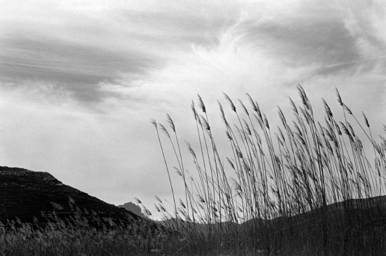 Η Τήνος μέσα από τα μάτια της Ευγενίας Κουμαντάρου