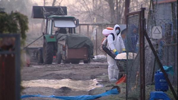 Πολωνία: Κρούσματα γρίπης των πτηνών H5N8 σε μονάδες όπου εκτρέφονται γαλοπούλες