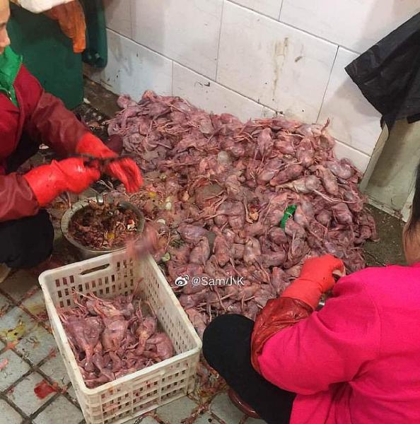 Για γερά στομάχια: Μέσα στην αγορά-σφαγείο της Ουχάν απ' όπου ξεκίνησε ο κοροναϊός