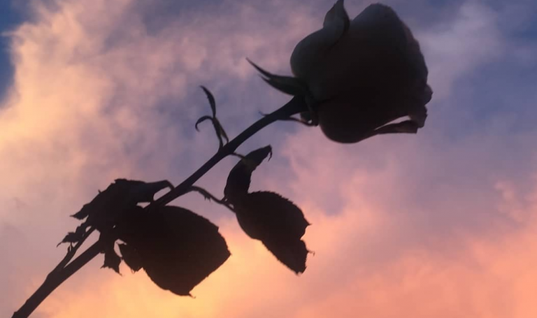 Και για αυτούς τους λόγους δεν έχεις σύντροφο