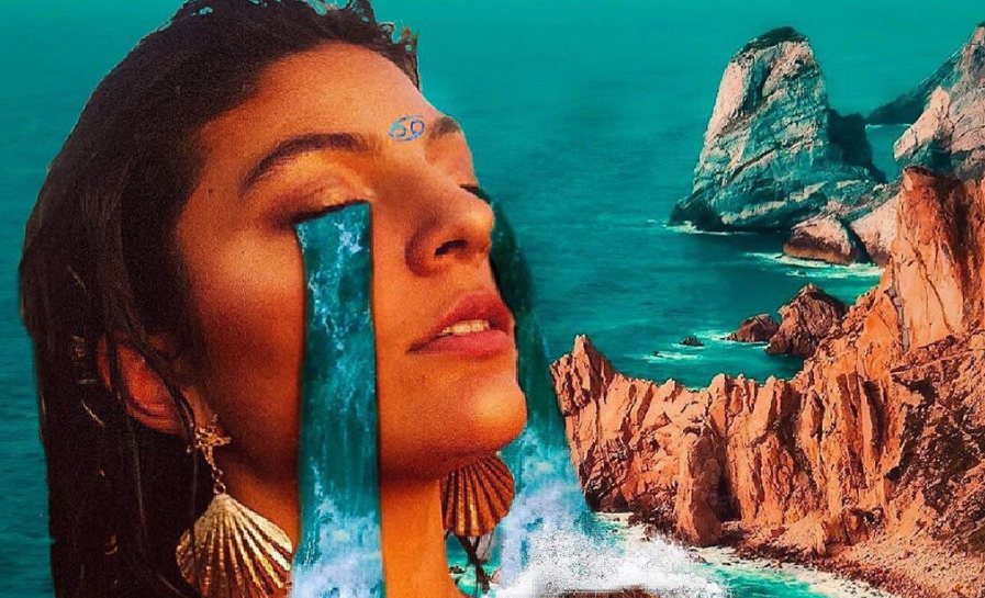 Έτσι αντιδρούν τα τρία ζώδια του νερού όταν βρεθούν σε κοινό χώρο