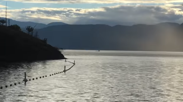 Πατέρας και γιος ισχυρίζονται ότι είδαν μυθικό αμφίβιο τέρας σε λίμνη του Καναδά