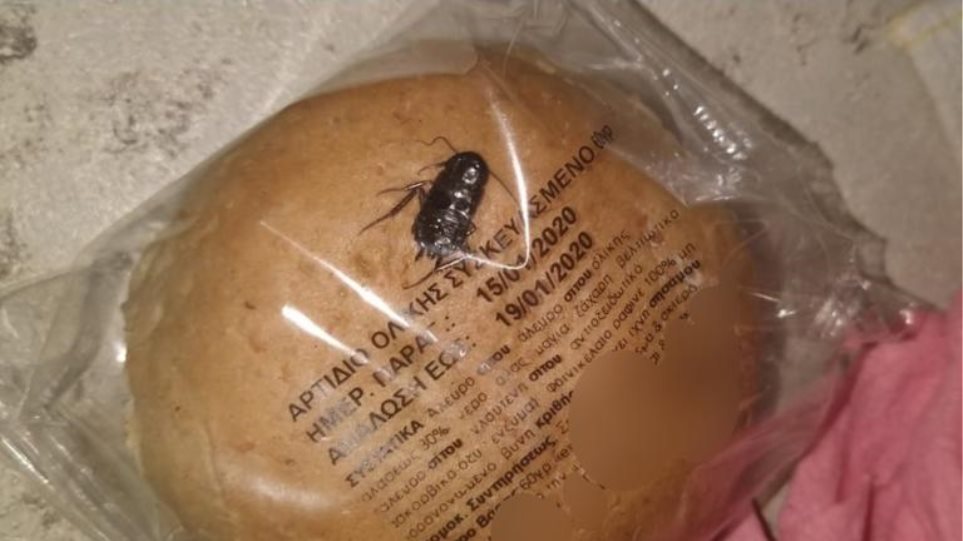 Σοκ στα Άνω Λιόσια : Μαθητής βρήκε κατσαρίδα μέσα σε συσκευασμένο ψωμί