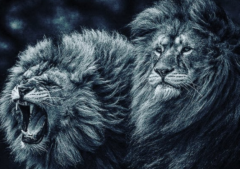 Ο Λέων και η υπερηφάνεια του