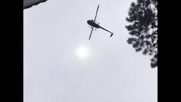 Πέταξαν από ελικόπτερο γουρούνι σε πισίνα επιχειρηματία
