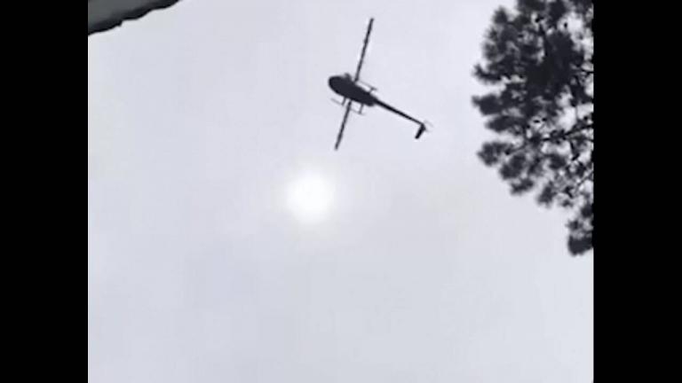 Πέταξαν από ελικόπτερο γουρούνι σε πισίνα επιχειρηματία