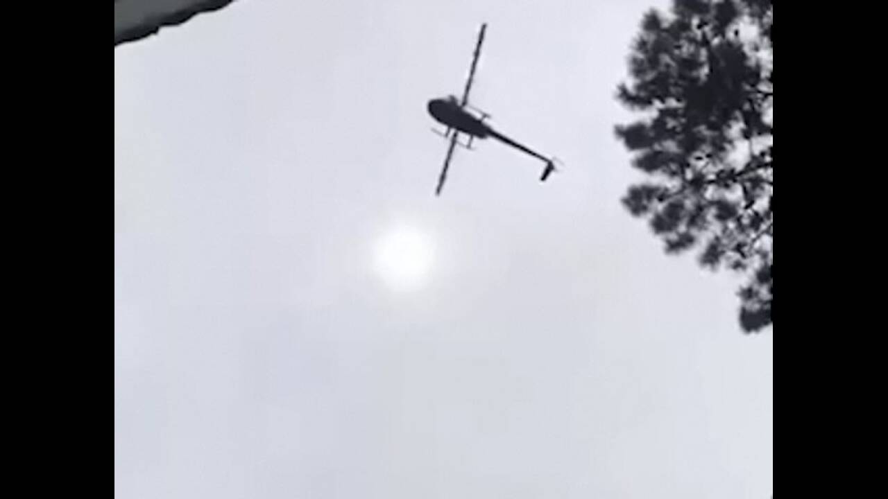 Πέταξαν από ελικόπτερο γουρούνι σε πισίνα επιχειρηματία