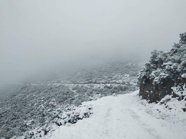Φθιώτιδα : Ώρες αγωνίας για εκδρομείς που χάθηκαν στα χιόνια