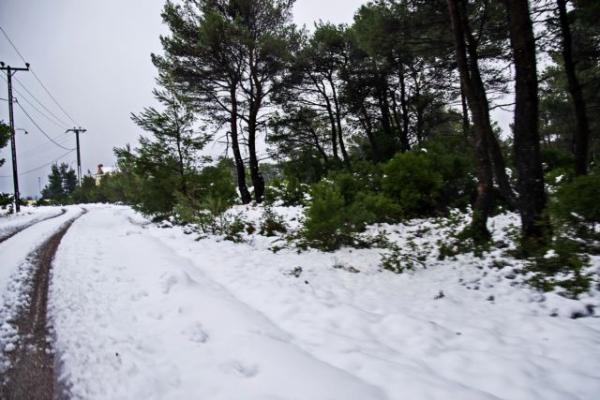Καιρός : «Πόλεμος» μετεωρολόγων για την ψυχρή εισβολή