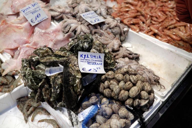 Καθαρά Δευτέρα : Πώς θα διαλέξετε καλά θαλασσινά